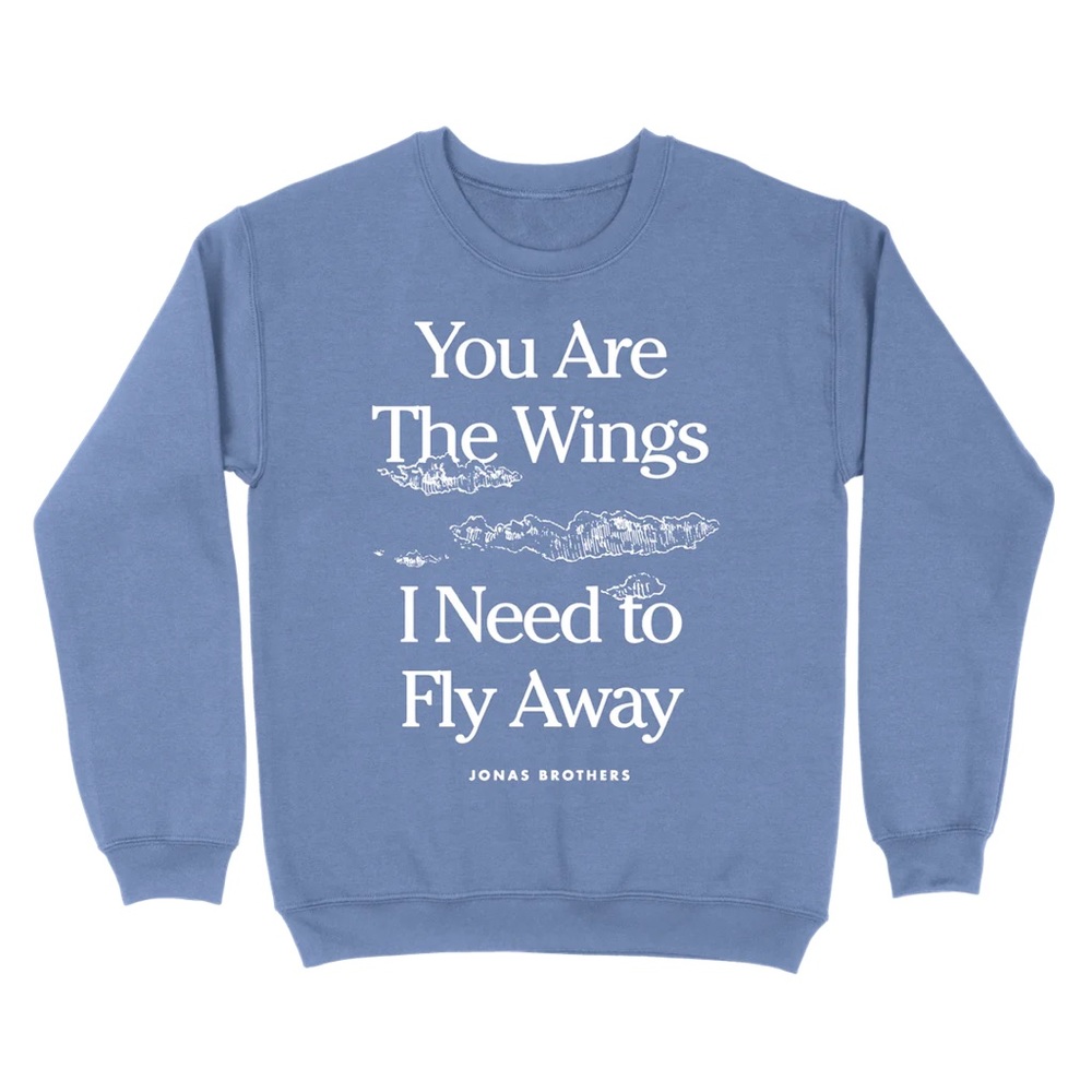 Jonas brothers sweater